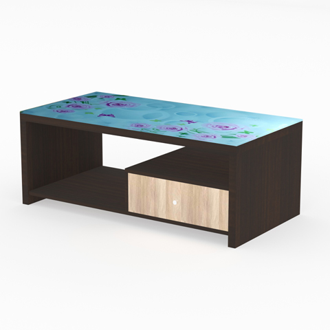 SCT 307 Coffee Table